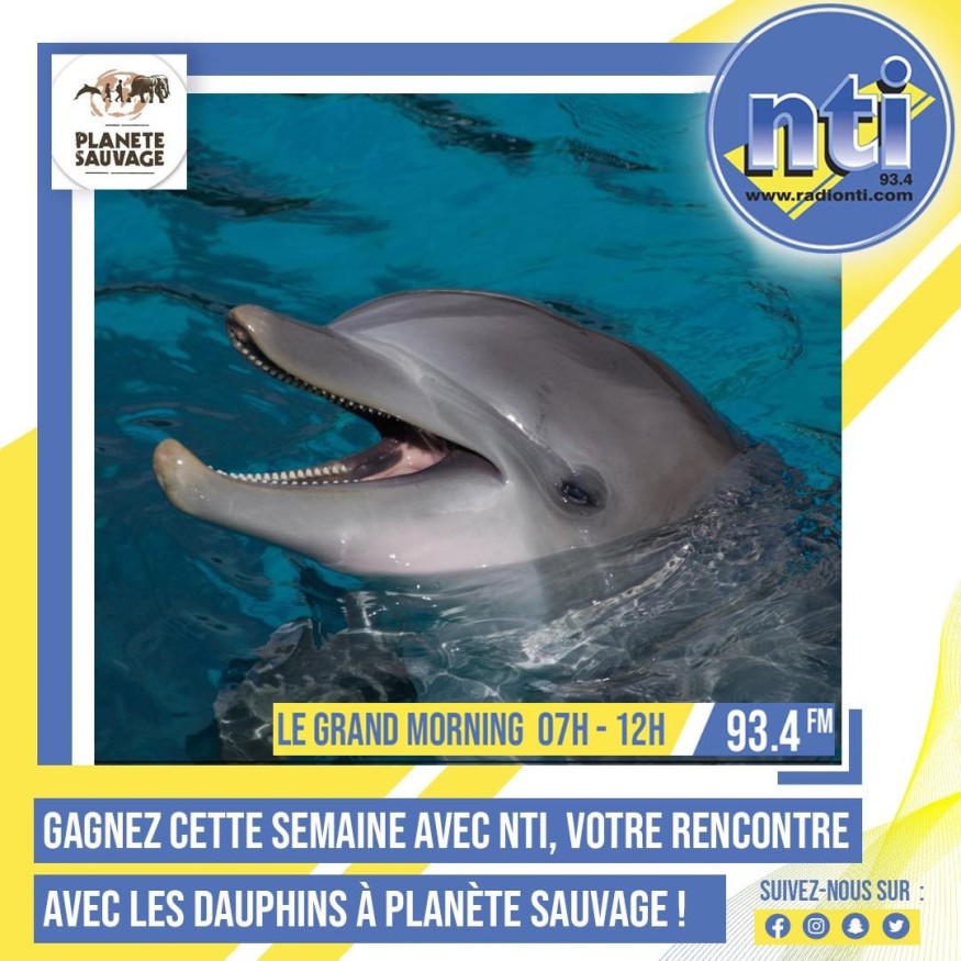 Cette semaine, GAGNEZ votre rencontre privilégiée avec les dauphins de PLANETE SAUVAGE !